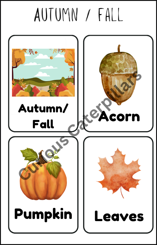 Curious Caterpillars Seasons and Weather Flashcards